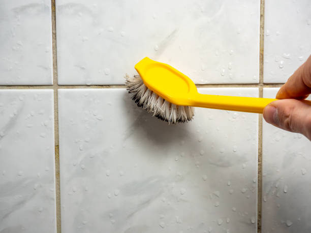 Best Health and Safety Mold Remediation in Mayflower Village, CA